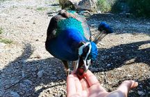 Stop on Island & National Park Day Cruise with Lunch Drinks