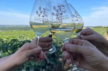 Grands Crus tour in e-Mehari and Chablis tasting