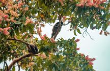 Private Tour from Guayaquil to Churute Ecological Reserve 