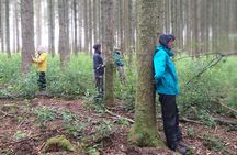 Shinrin Yoku in the Sonian Forest Belgium