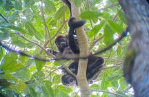 Full-Day Shared Tour in Manuel Antonio with Lunch
