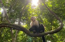Full-Day Shared Tour in Manuel Antonio with Lunch