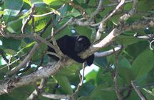 Costa Rica - Private Tour Experience