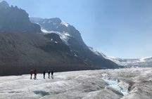 Tread Lightly Glacier Hikes