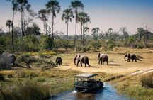 3-Days Lodge Safari in Tarangire, Ngorongoro Crater & Lake Manyara