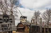 From Krakow: Auschwitz & Wieliczka Salt Mine Guided Tour