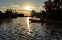Massaciuccoli Lake: kayak tour with aperitif
