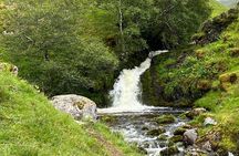 ULLAPOOL PORT Cruise Ship Tour, Inverewe Gardens and MORE! 