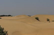 Peaceful Non -Touristic Sunset Camel Safari With Dinner 