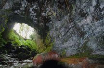 Hilo Shore Excursion: Volcano Safari Lava Caves, Falls and More