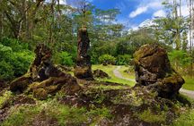 Hilo Shore Excursion: Safari Lava Caves, Falls and Highlights