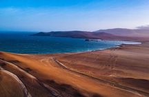 full day of Lima: Paracas and Huacachina ica in luxury mobility!