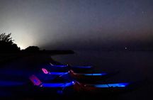 Discover Bioluminescence in Kayak with a Guide