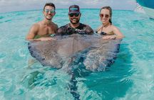 Half-Day Private Stingray City Charter - Grand Cayman - BTC