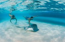 Half-Day Private Stingray City Charter - Grand Cayman - BTC