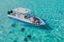 Half-Day Private Stingray City Charter - Grand Cayman - BTC