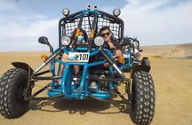 Excursion in Minibuggys in Paracas National Reserve