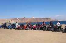 Excursion in Minibuggys in Paracas National Reserve