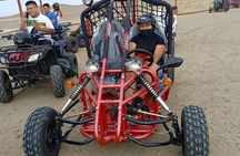 Excursion in Minibuggys in Paracas National Reserve