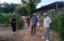 Ostuni DOC winetour and tasting.