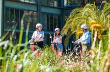 Segway Tour by ComhiC - Tête d'Or Park - 2h