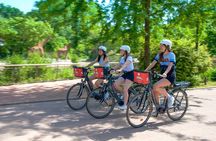 E-bike Tour by ComhiC - Tête d'Or Park - 2h