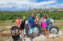 Private Wine Tasting Experience