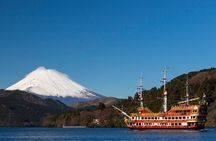 Mt. Fuji and Hakone Private Tour with English Speaking Guide