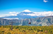 Mt. Fuji and Hakone Private Tour with English Speaking Guide