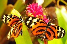 Amazon River Adventure Full Day Tour