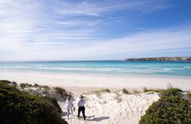 6-Day Eyre Peninsula & Flinders Ranges Adventure Tour 