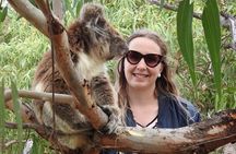 6-Day Eyre Peninsula & Flinders Ranges Adventure Tour 