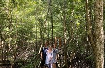 1-Day Can Gio Island-Mangrove Biosphere Reserve-Trekking