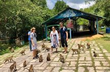1-Day Can Gio Island-Mangrove Biosphere Reserve-Trekking