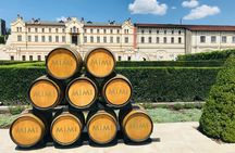 The Castle Mimi Wine Private Tour with Tasting