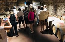 The Castle Mimi Wine Private Tour with Tasting