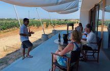 Winery Tour in Menorca with Wine Tasting