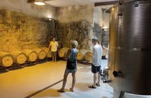 Winery Tour in Menorca with Wine Tasting