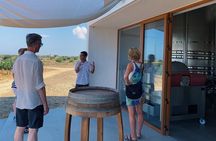Winery Tour in Menorca with Wine Tasting