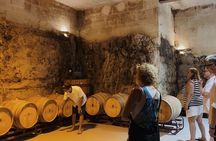 Winery Tour in Menorca with Wine Tasting