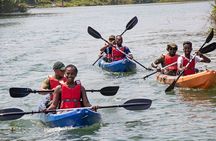 Half-Day Kayaking Odyssey on River Volta