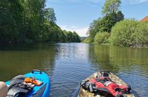 Beaver Safari on Stand up paddleboard in Hokksund
