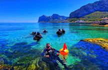 3-Hour Try Scuba Private Guided Sea Baptism from Palermo
