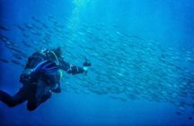 3-Hour Try Scuba Private Guided Sea Baptism from Palermo