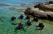 3-Hour Try Scuba Private Guided Sea Baptism from Palermo