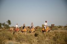 Non-Touristic Overnight Camel Safari with Stargazing Hidden Tour In Desert 