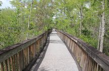 Everglades Day Safari from Miami