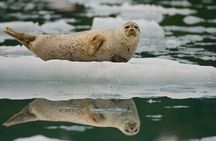 Glacier Quest Cruise and Coach Package