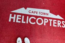 Helicopter, Boat Cruise, Big 5 Safari and Winelands Scenic Experience in 4 Days.