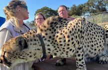 Helicopter, Boat Cruise, Big 5 Safari and Winelands Scenic Experience in 4 Days.